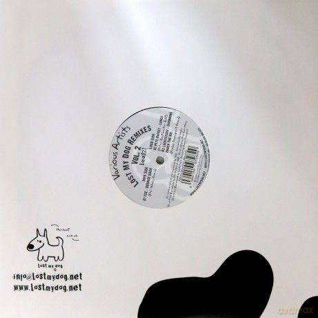 Lost My Dog Remixes [Winyl]