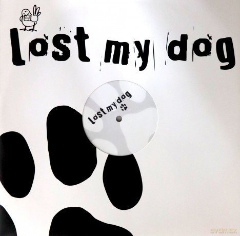 Lost My Dog Remixes [Winyl]