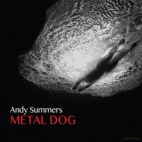 Andy Summers: Metal Dog [Winyl]