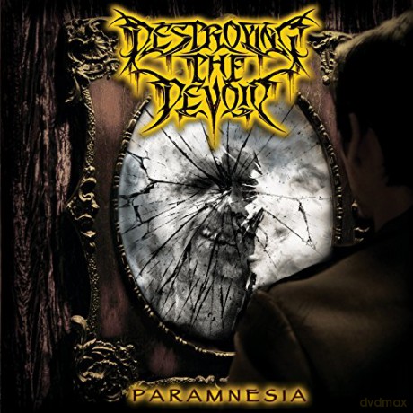 Destroying The Devoid: Paramnesia [Winyl]