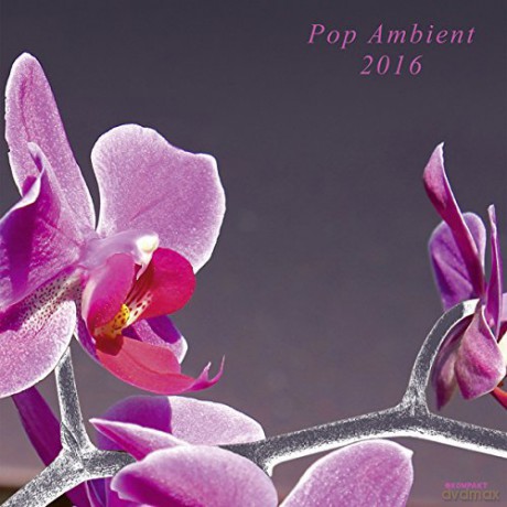Pop Ambient 2016 [Winyl]
