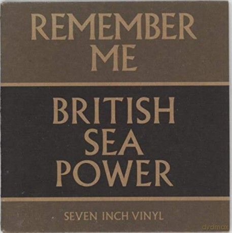 British Sea Power: Remember Me [Winyl]