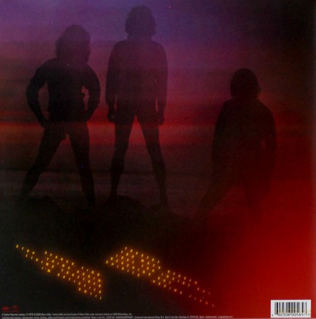 Bee Gees: Spirits Having Flown [Winyl]