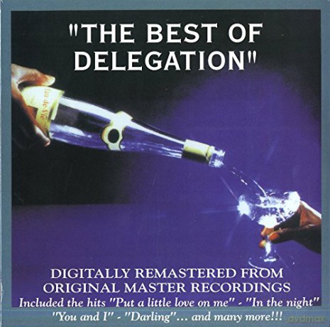 Delegation: The Best Of Delegation [Winyl]
