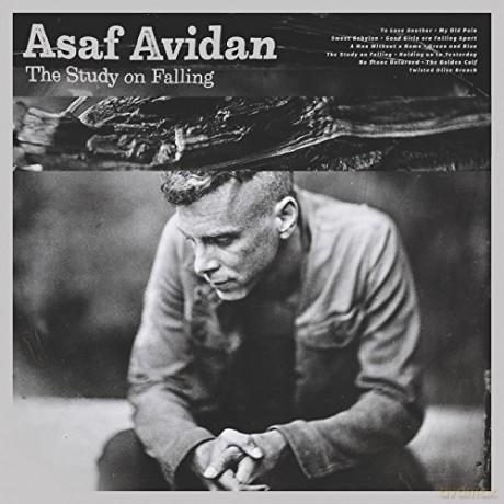 Asaf Avidan: The Study Of Falling [Winyl]