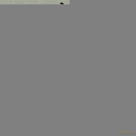 Pyre: Chained To Ossuaries [CD]