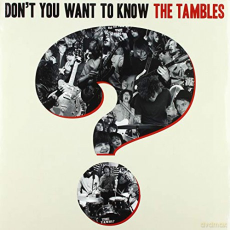 Tambles: Dont You Want To Know The Tambles [Winyl]