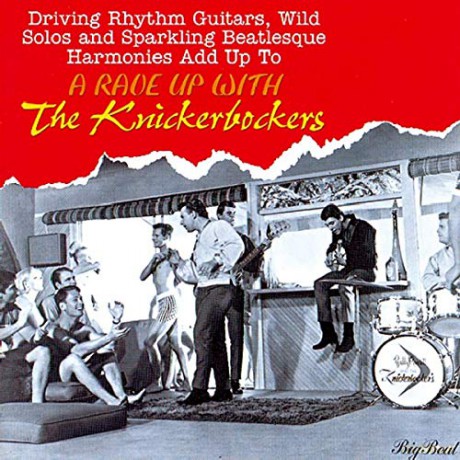Knickerbockers: Driving Rhythm Guitars/Wild Solos [CD]