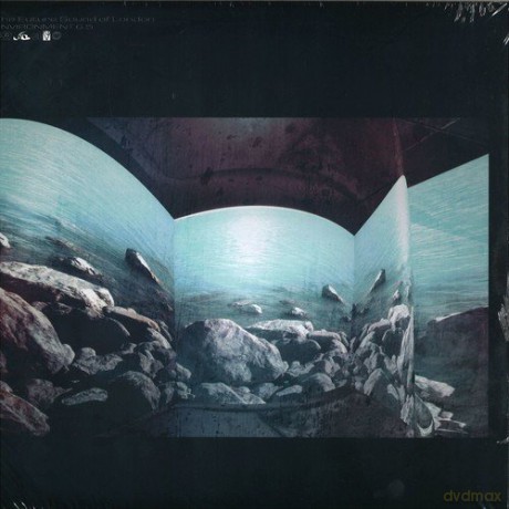 Future Sound Of London: Environment 6.5 [Winyl]
