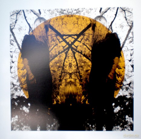 Austra: Feel It Break [2xWinyl]