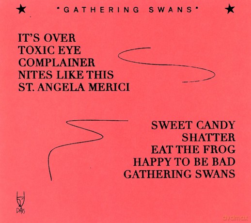 Choir Boy: Gathering Swans [CD]