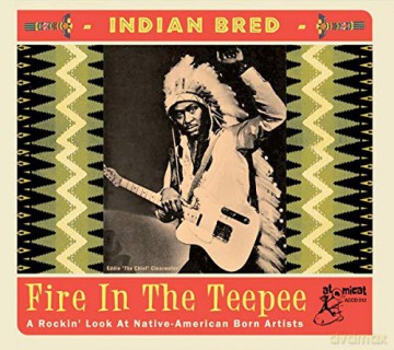 Indian Bred - Fire In The Teepee [CD]