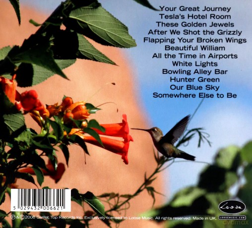 Handsome Family: Last Days Of Wonder [CD]