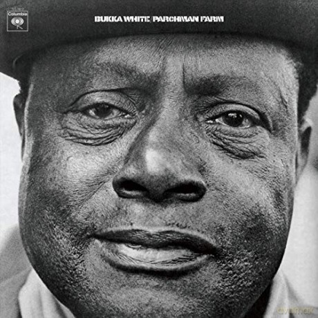 Bukka White: Parchman Farm [Winyl]