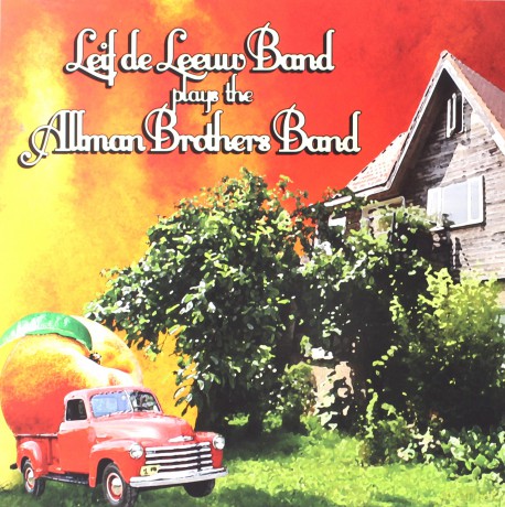 Leif De Leeuw Band: Plays Allman Brothers [Winyl]