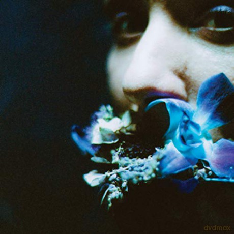 Circuit Des Yeux: Reaching For Indigo [CD]