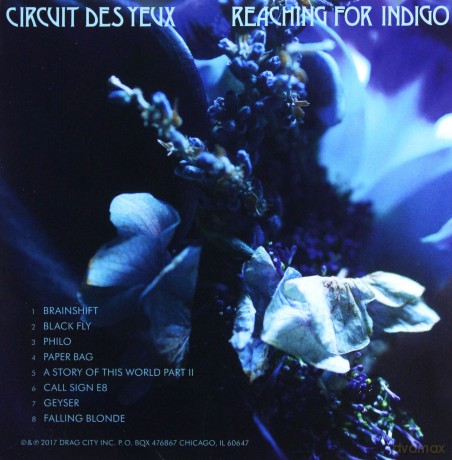 Circuit Des Yeux: Reaching For Indigo [CD]
