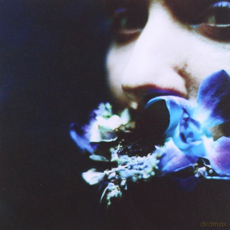 Circuit Des Yeux: Reaching For Indigo [CD]