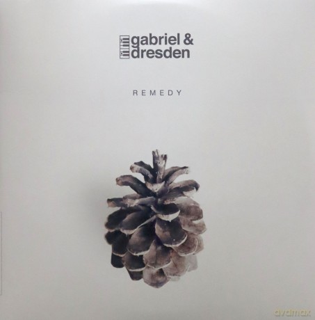 Gabriel & Dresden: Remedy [2xWinyl]