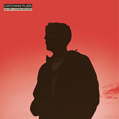 Catching Flies: Silver Linings Remixed [Winyl]