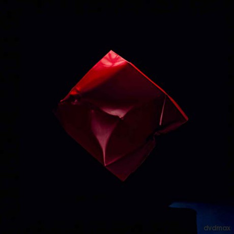 Julia Marcell: Skull Echo [CD]