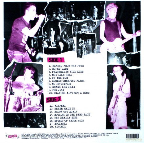 Peter And The Test Tube Babies: The Punk Singles Collection [Winyl]