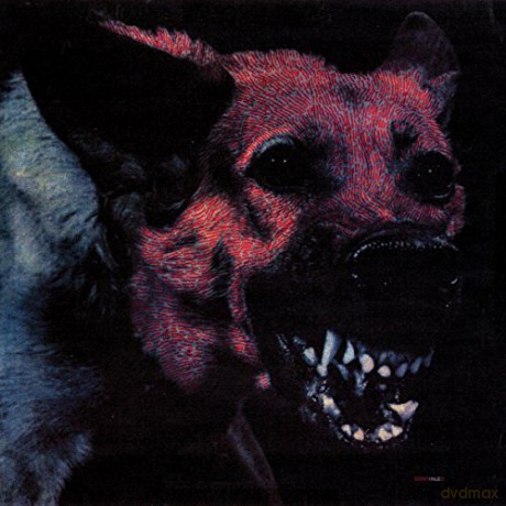 Protomartyr: Under Color Of Official Right [Winyl]
