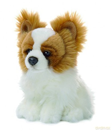 ACP Dog papillon