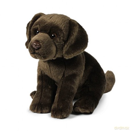 ACP Labrador Brown