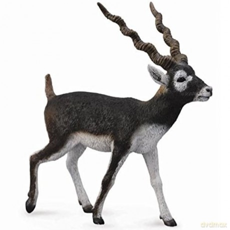 Antylopa Blackbuck [FIGURKA]