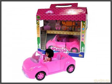 Auto piknikowe