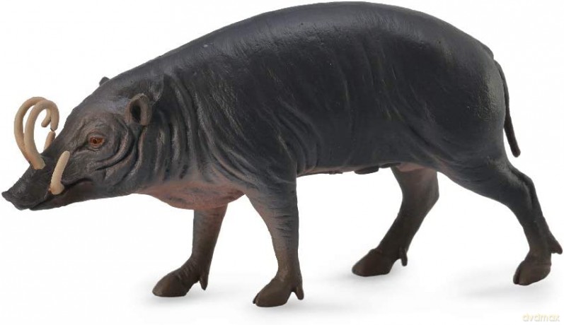 Babyrousa Collecta [FIGURKA]