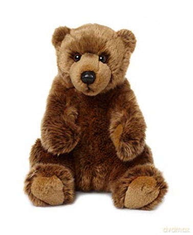 Bear grizzly sitting