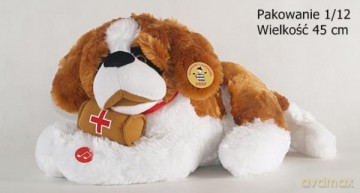 Bernardyn leżący wielki