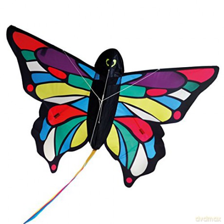 BROOKITE - Latawiec Tropical butterfly
