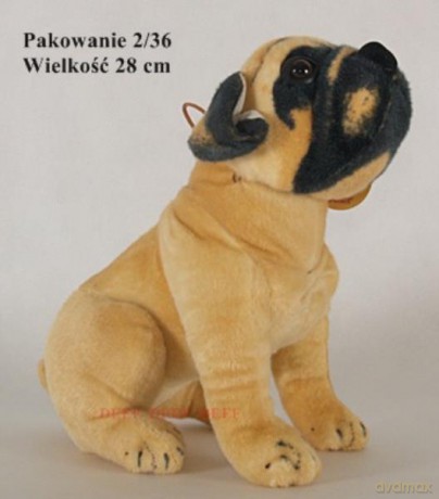 Buldog