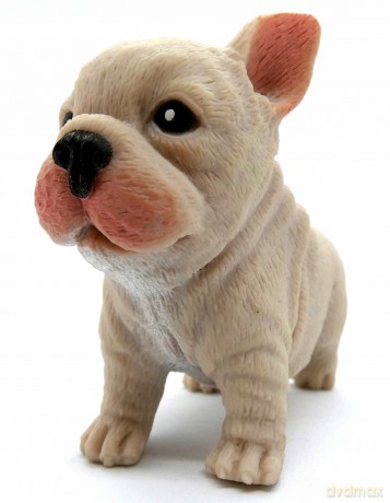 Buldog francuski z groszkiem