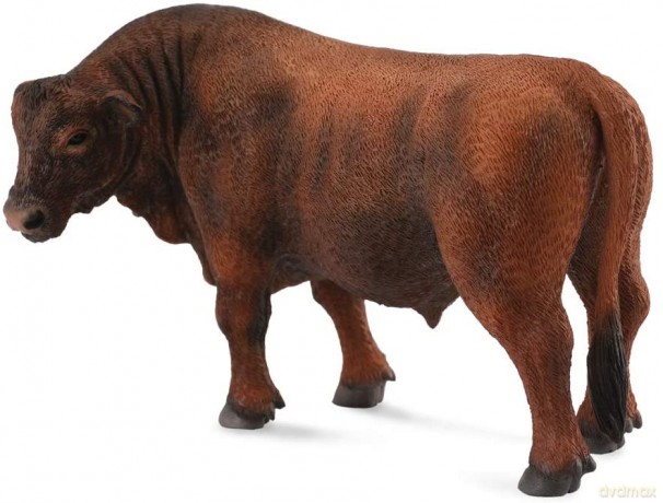 Byk czerwony Angus [FIGURKA]