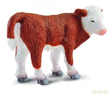 Cielę stojące rasy Hereford [FIGURKA]