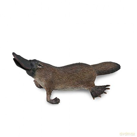 Dziobak Austrialijski [FIGURKA]