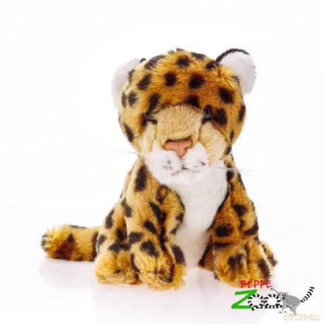 Gepard