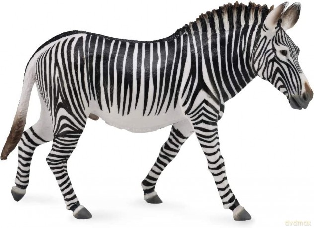 Grevy's zebra [FIGURKA]