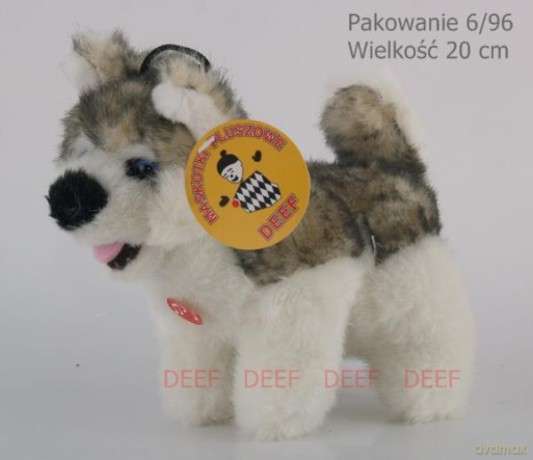 Husky