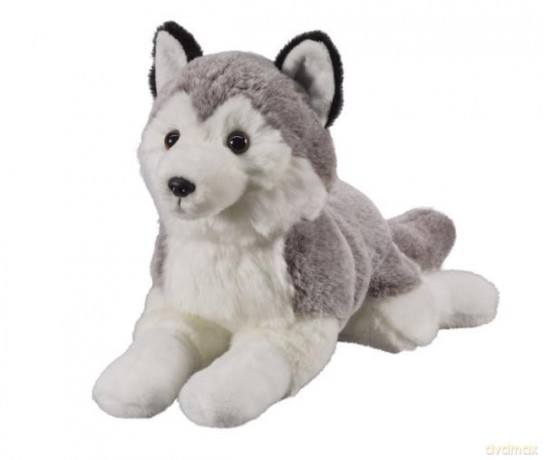 Husky