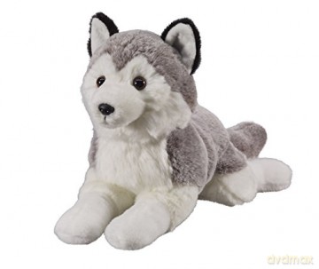 Husky