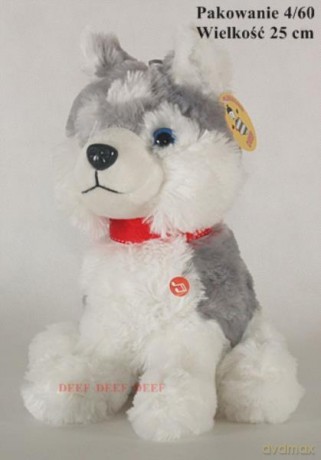 Husky siedzący