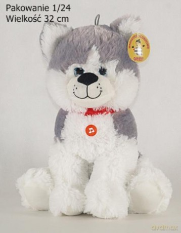Husky siedzący