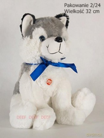 Husky z Niebieską Wstążką