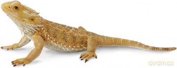 Jaszczurka Dragon [FIGURKA]