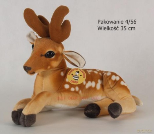 Jelonek leżący duży